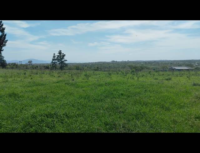 5HA FARM FOR SALE IN ELIM